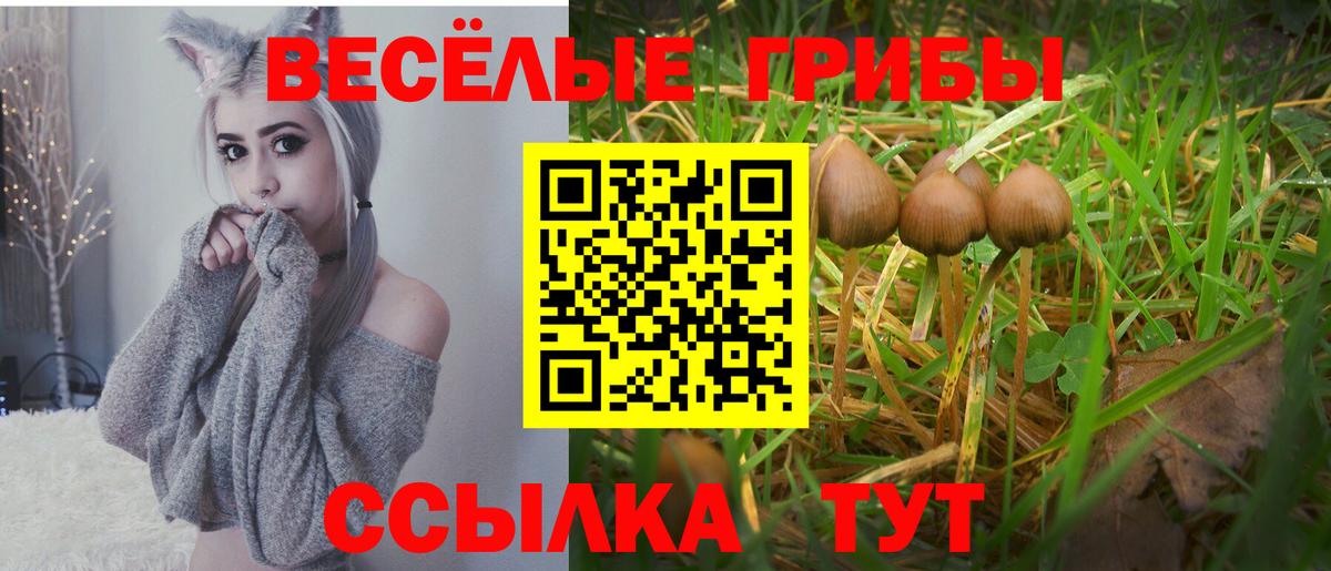 Белебей  Псилоцибиновые грибы мухоморы  Вход с VPN 